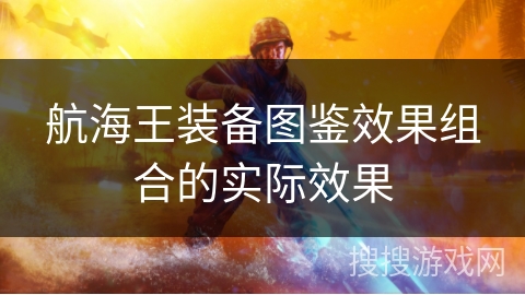 航海王装备图鉴效果组合的实际效果