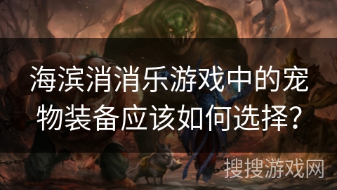 海滨消消乐游戏中的宠物装备应该如何选择？