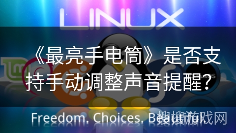 《最亮手电筒》是否支持手动调整声音提醒？