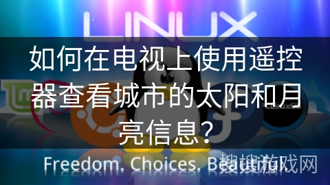 如何在电视上使用遥控器查看城市的太阳和月亮信息？