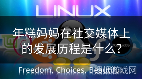 年糕妈妈在社交媒体上的发展历程是什么？