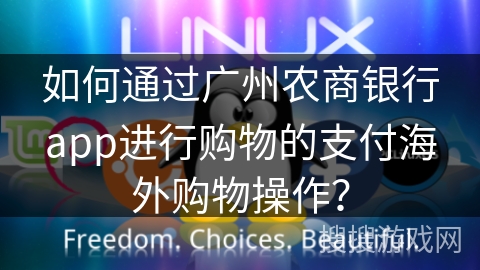 如何通过广州农商银行app进行购物的支付海外购物操作？