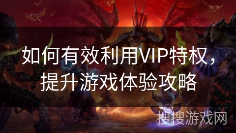 如何有效利用VIP特权，提升游戏体验攻略