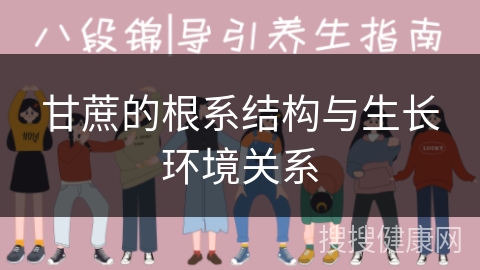 甘蔗的根系结构与生长环境关系