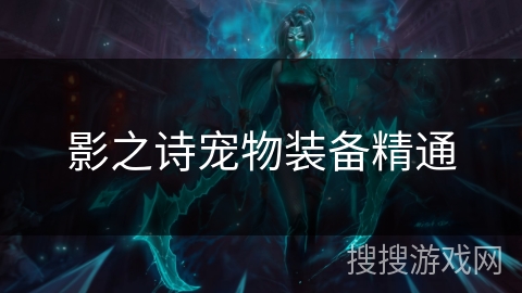 影之诗宠物装备精通