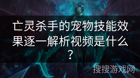 亡灵杀手的宠物技能效果逐一解析视频是什么？