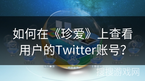 如何在《珍爱》上查看用户的Twitter账号？