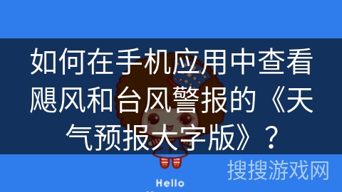 如何在手机应用中查看飓风和台风警报的《天气预报大字版》？