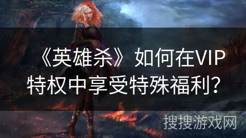 《英雄杀》如何在VIP特权中享受特殊福利？