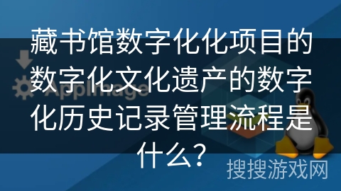 藏书馆数字化化项目的数字化文化遗产的数字化历史记录管理流程是什么？