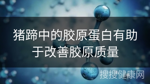 猪蹄中的胶原蛋白有助于改善胶原质量