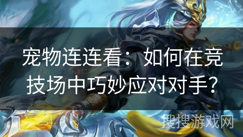 宠物连连看：如何在竞技场中巧妙应对对手？