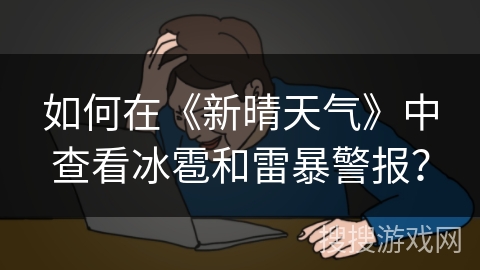 如何在《新晴天气》中查看冰雹和雷暴警报？