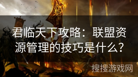 君临天下攻略：联盟资源管理的技巧是什么？
