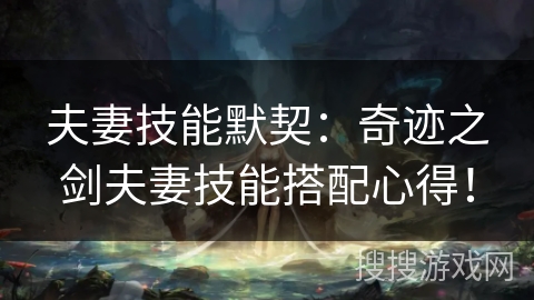 夫妻技能默契：奇迹之剑夫妻技能搭配心得！