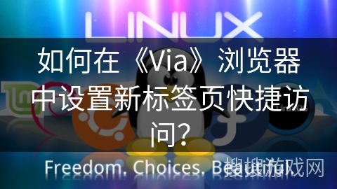 如何在《Via》浏览器中设置新标签页快捷访问？