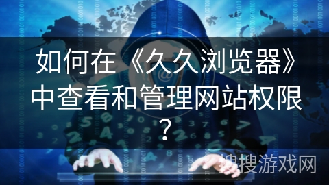 如何在《久久浏览器》中查看和管理网站权限？