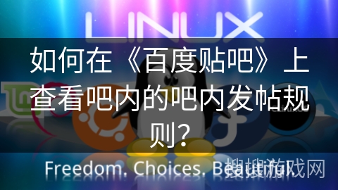 如何在《百度贴吧》上查看吧内的吧内发帖规则？