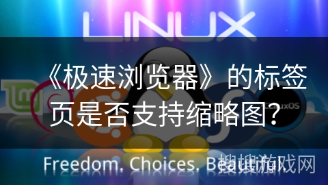 《极速浏览器》的标签页是否支持缩略图？