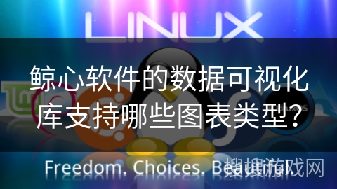 鲸心软件的数据可视化库支持哪些图表类型？