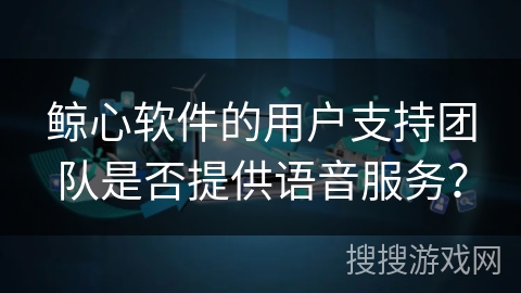 鲸心软件的用户支持团队是否提供语音服务？