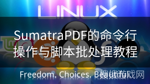 SumatraPDF的命令行操作与脚本批处理教程