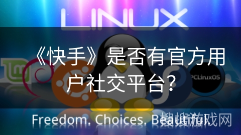 《快手》是否有官方用户社交平台？