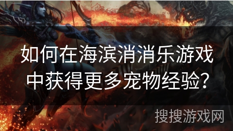 如何在海滨消消乐游戏中获得更多宠物经验？