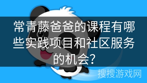 常青藤爸爸的课程有哪些实践项目和社区服务的机会？