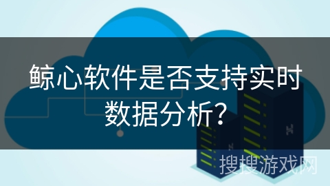 鲸心软件是否支持实时数据分析？