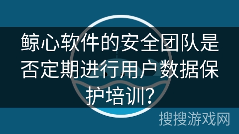 鲸心软件的安全团队是否定期进行用户数据保护培训？