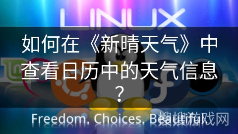 如何在《新晴天气》中查看日历中的天气信息？
