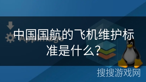 中国国航的飞机维护标准是什么？