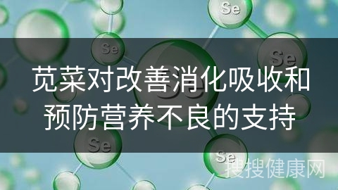 苋菜对改善消化吸收和预防营养不良的支持