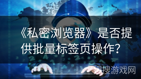 《私密浏览器》是否提供批量标签页操作？