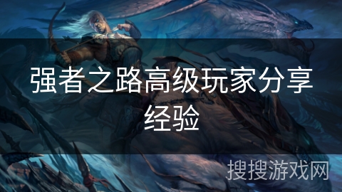 强者之路高级玩家分享经验