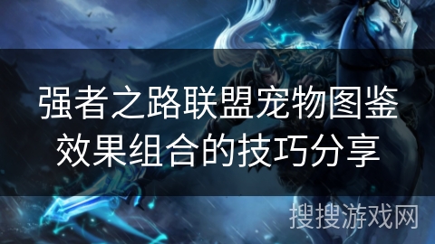 强者之路联盟宠物图鉴效果组合的技巧分享