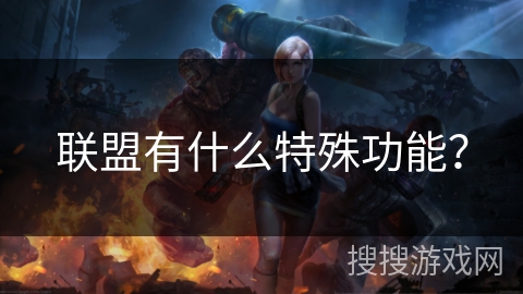 联盟有什么特殊功能? 联盟有什么特殊功能?