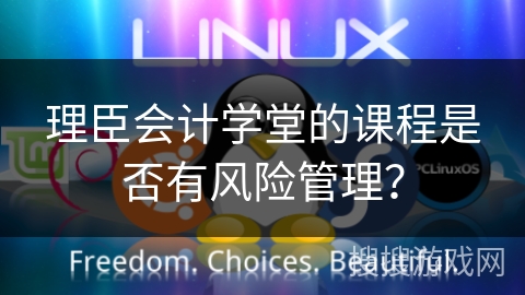 理臣会计学堂的课程是否有风险管理？