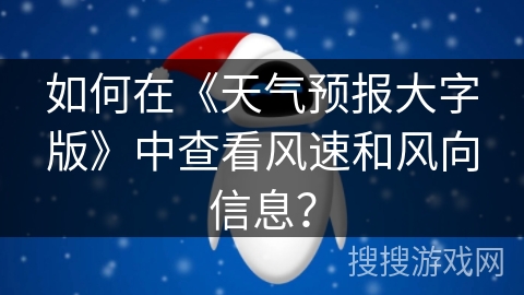如何在《天气预报大字版》中查看风速和风向信息？