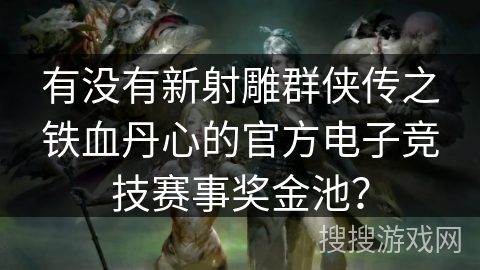 有没有新射雕群侠传之铁血丹心的官方电子竞技赛事奖金池？