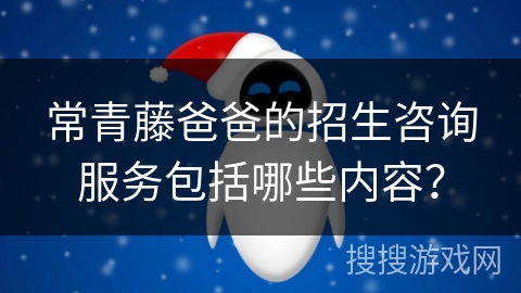 常青藤爸爸的招生咨询服务包括哪些内容？