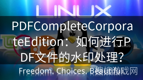 PDFCompleteCorporateEdition：如何进行PDF文件的水印处理？