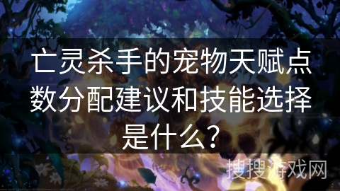 亡灵杀手的宠物天赋点数分配建议和技能选择是什么？