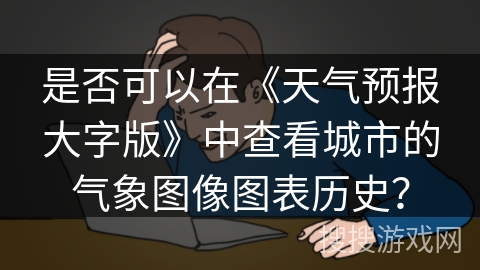 是否可以在《天气预报大字版》中查看城市的气象图像图表历史？