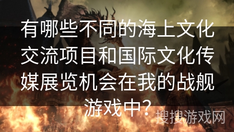 有哪些不同的海上文化交流项目和国际文化传媒展览机会在我的战舰游戏中？