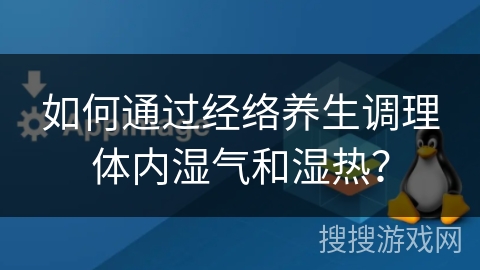 如何通过经络养生调理体内湿气和湿热？