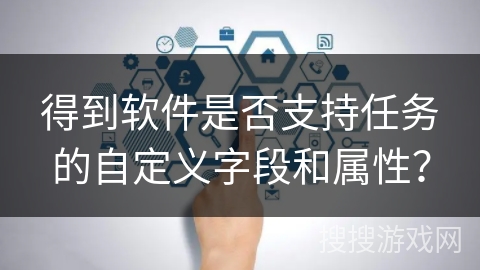 得到软件是否支持任务的自定义字段和属性？