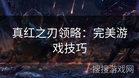 真红之刃领略：完美游戏技巧
