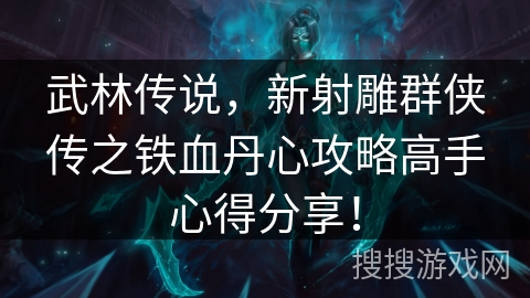 武林传说，新射雕群侠传之铁血丹心攻略高手心得分享！